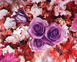 哪里學服裝數碼印花設計最好？